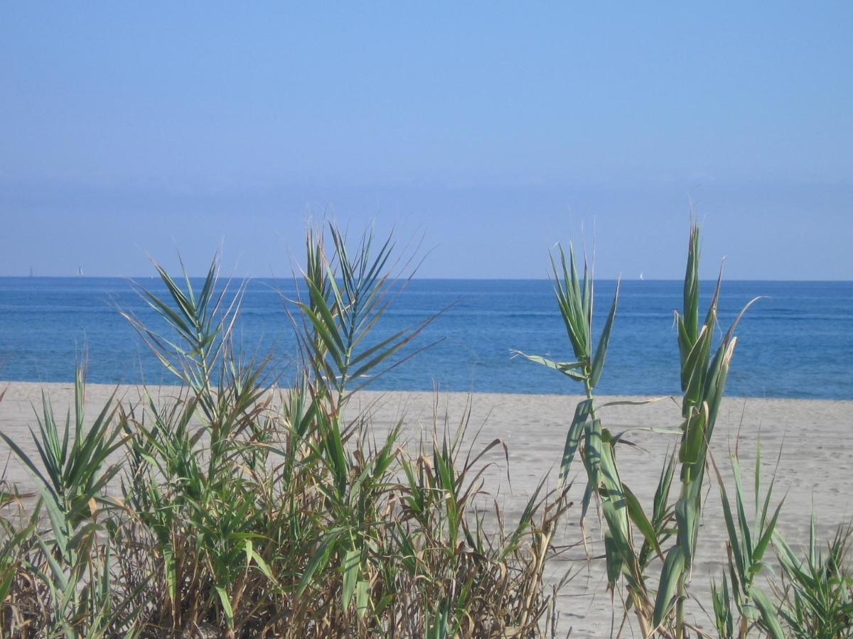Studio Vue Sur La Mer Au 6Eme Et Dernier Etage Canet-en-Roussillon Kültér fotó